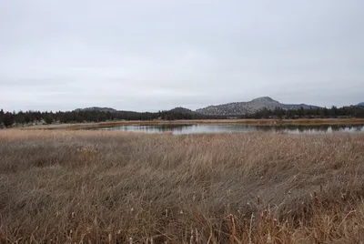 DSC_0004 (Large).JPG